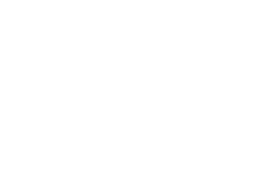 TVN fundacja