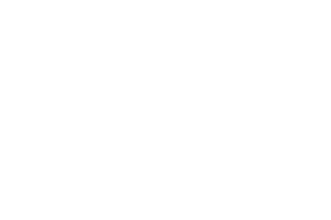 dog chow